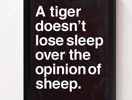 625693_528298610536809_21493068_n