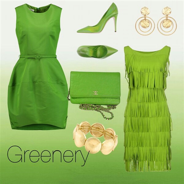 Are You Green this Year?  Life With Ivy